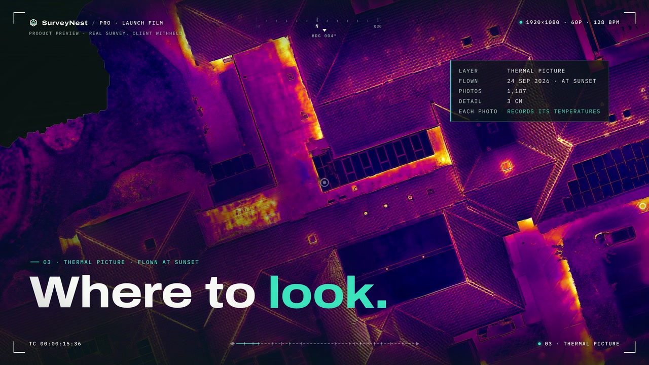 A still from the published SurveyNest film
